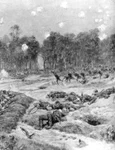 1914, anul în care mitul războiului fulger s a spulberat jpeg