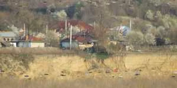 Locuitorii din Călimăneşti, Barbatesti si Daesti, neputiciosi in fata puhoaielor