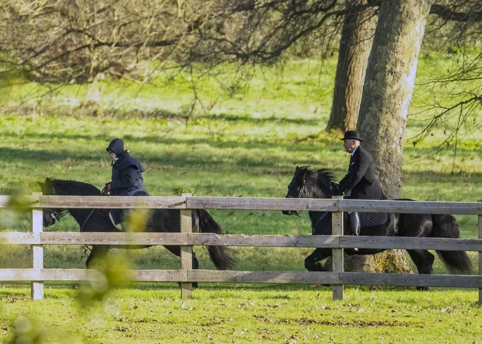 2 regina elisabeta calare 2 jpg jpeg