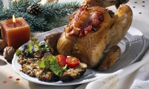 Baked Chicken with Stuffing jpeg