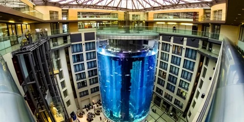 Așa arăta cel mai mare acvariu cilindric din lume înainte de a exploda FOTO Shutterstock 