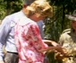 4 lady diana pui de crocodil ferma de crocodili din darwin 1988 2 jpg jpeg