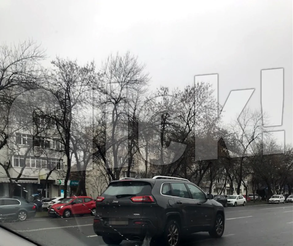 Iuliana Marciuc, oprită în trafic
