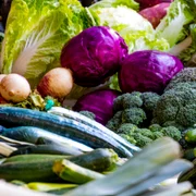 Cruciferous jpg