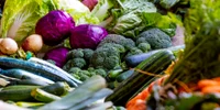 Cruciferous jpg