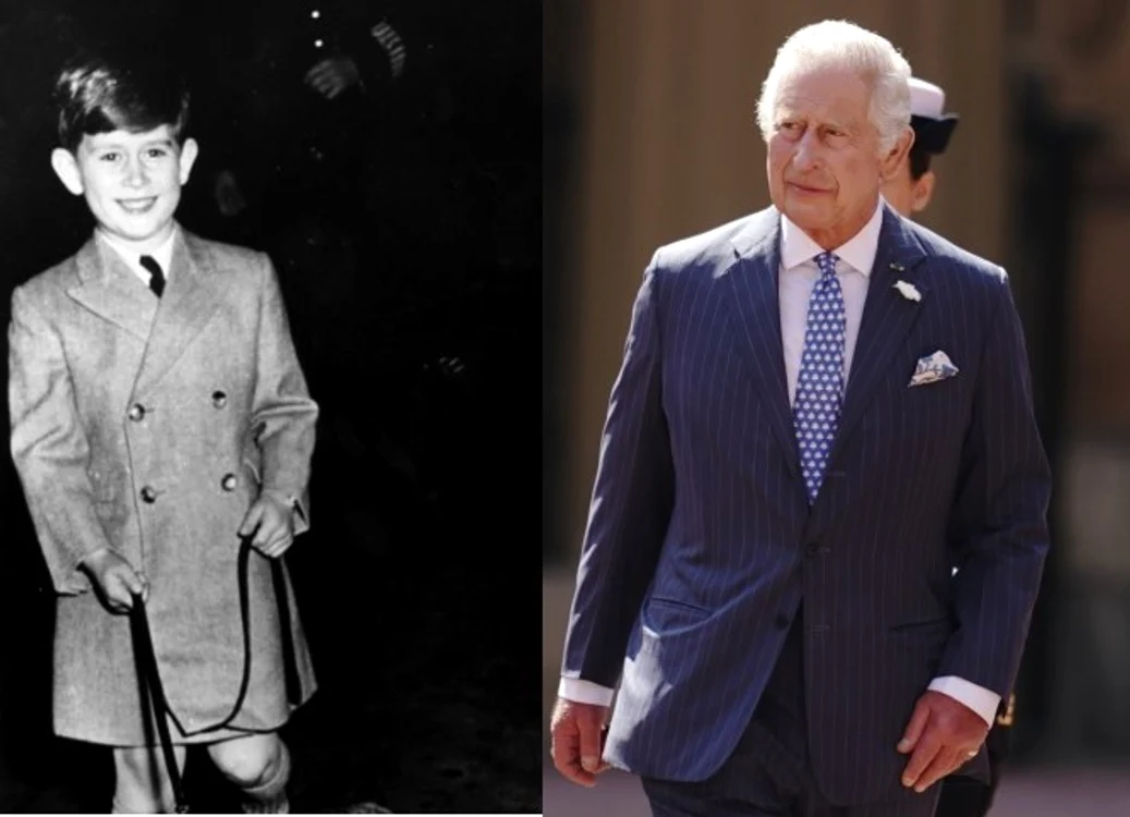 Regele Charles AL III-LEA FOTO Profimedia