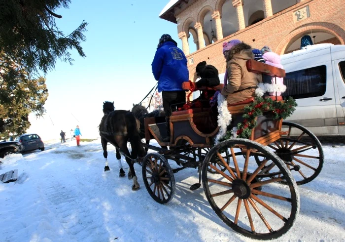 Cei mici s-au bucurat nespus când au fost plimbaţi cu trăsura
