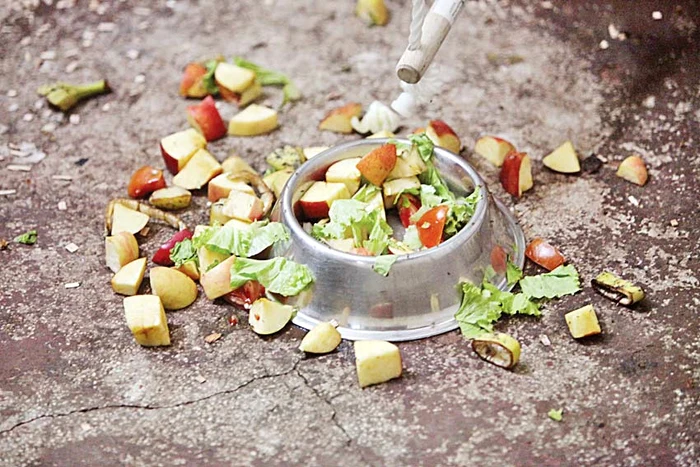Paris 37ºC. Oamenii au încercat orice ochi de apă să se răcoreascăFoto: AFP