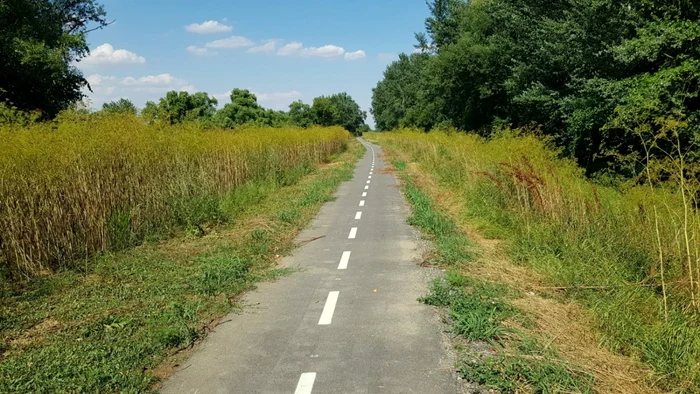 Cum arată pista de biciclete Timişoara-Zrenjanin pe partea sârbească FOTO Bartha Csaba