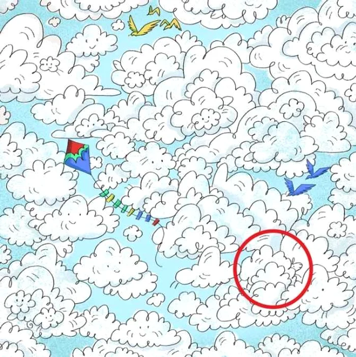 Rezolvarea provocării