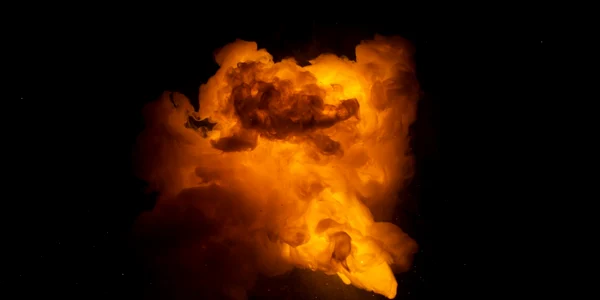 foc shutterstock