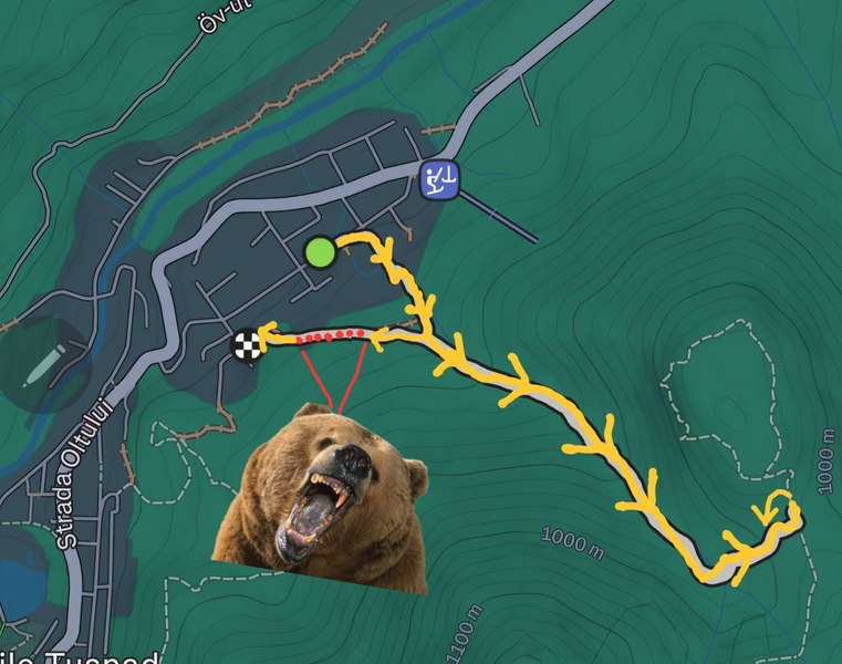 Hungarian journalist escapes bear attack during run near Băile Tușnad