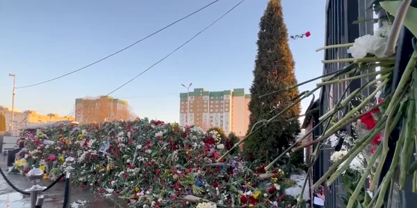 Mormântul lui Navalnii acoperit de flori Foto captură video
