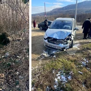 urs lovit de masina in buzau foto garda de mediu buzau png