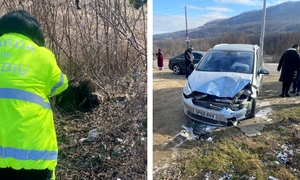 urs lovit de masina in buzau foto garda de mediu buzau png