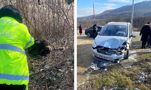 urs lovit de masina in buzau foto garda de mediu buzau png