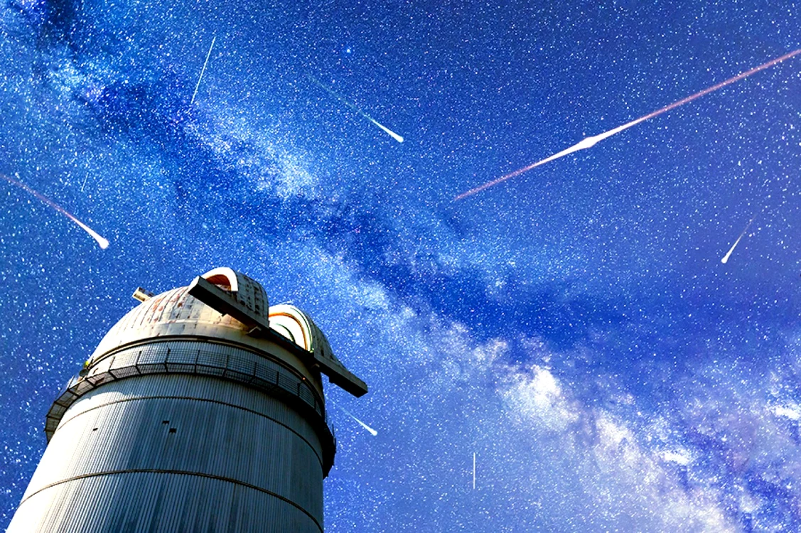 FOTO: Getty Images, unsplash, pexel