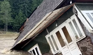 brosteni dezastru jpg