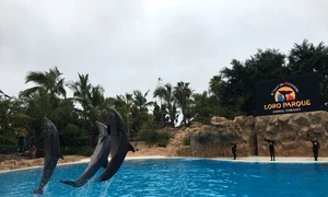 loro parque1 jpeg