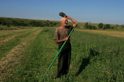 România eternă   fragmente din I L  Caragiale jpeg