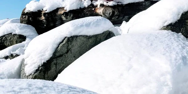 Wim Hof FOTO FacebookThe Ice Man (Wim Hof)