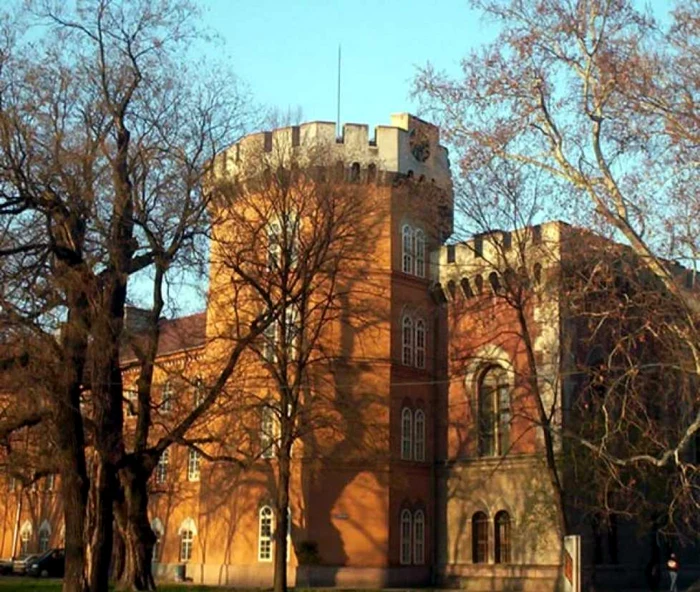 Castelul Huniade din Timișoara FOTO arhivă Adevărul