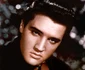 elvis profi