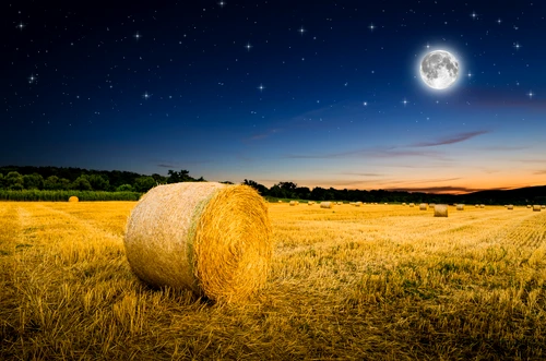 1 shutterstock 306478394 jpg jpeg