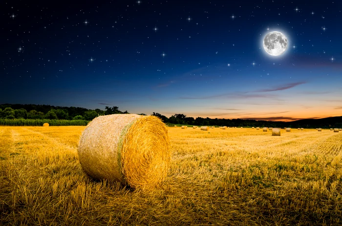 1 shutterstock 306478394 jpg jpeg