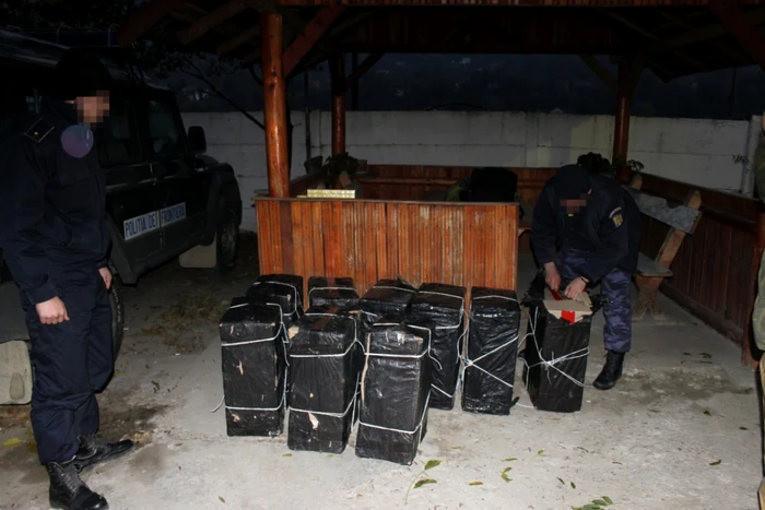 Ţigări de contrabandă descoperite într-un grajd din Suceava. FOTO Poliţia de Frontieră