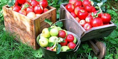 calaarsi mere