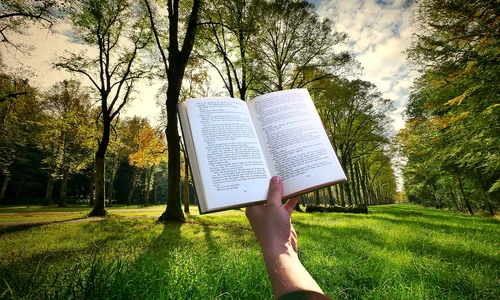 book 3801210 1280 jpg