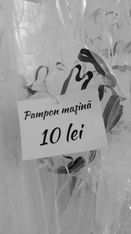 Cu ochii n 3,14 jpeg