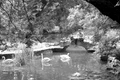 film 100 de lei jpg