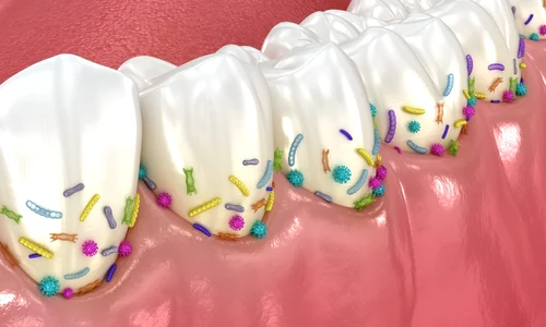 shutterstock 2648438783 jpg