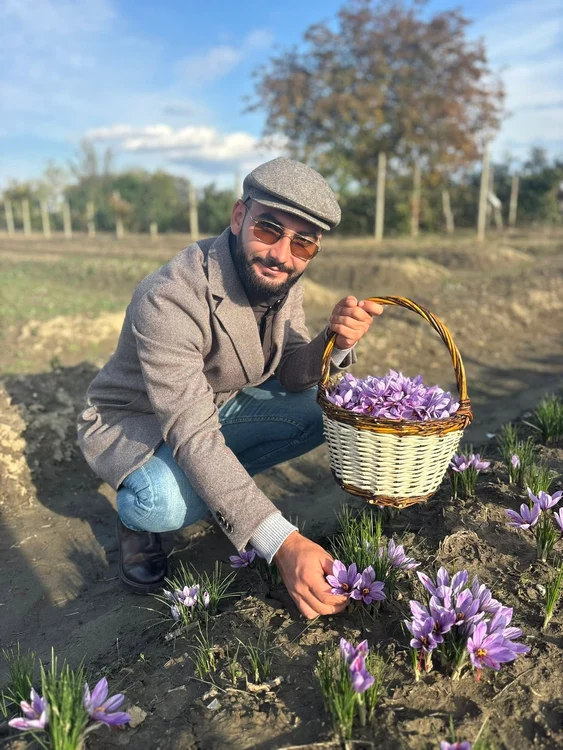 Gabriel Claudiu cultivă șofran FOTO: facebook