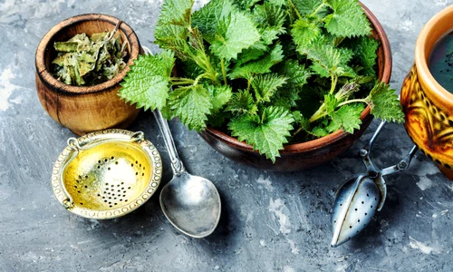 Urzica este un medicament vegetal contra depresiei  jpeg