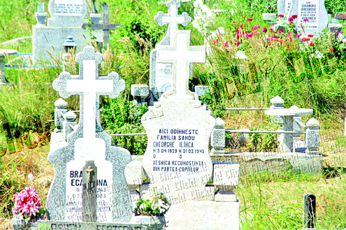 Mormântul tatălui lui Lili Sandu.