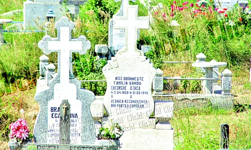Mormântul tatălui lui Lili Sandu  jpeg