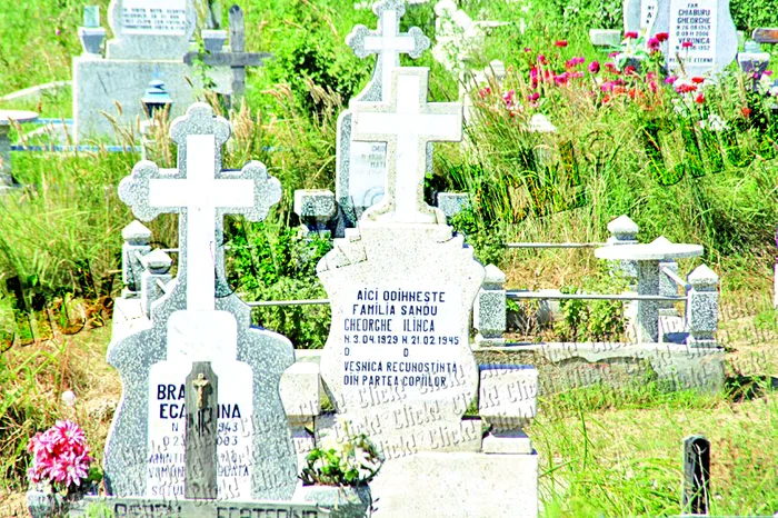 Mormântul tatălui lui Lili Sandu.