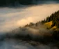 ovidiu lazar 8