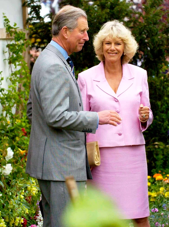 3 h 00174681 jpg jpeg