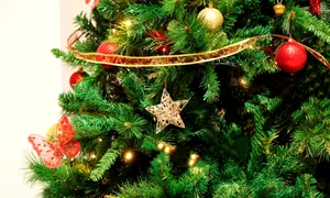 brad de craciun jpeg