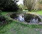 Parcul dendrologic Simeria Foto Daniel Guță ADEVĂRUL (33) JPG