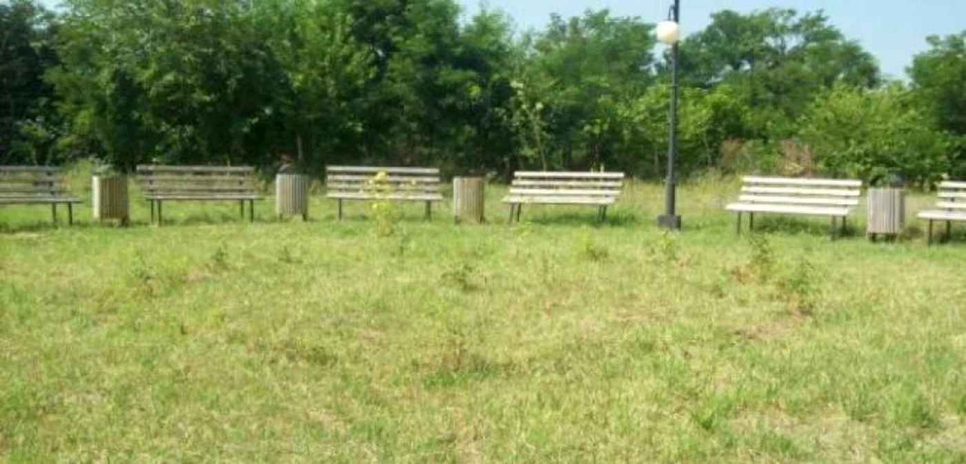 Primăria din Malu Mare cumpărat gazon cât pentru 20 de terenuri de fotbal