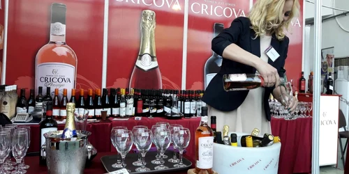 VinVest 2017 FOTO Ştefan Both