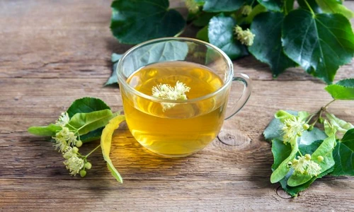 2 shutterstock 1033557196 jpg jpeg