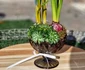 SURSA: Arhiva Atelierului floral Everbloom Floral Design