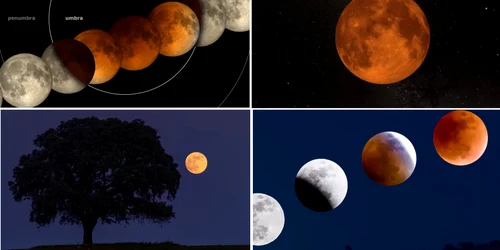 Luna Sângerie și fazele Eclipsei Totale de Lună Colaj capturi video YouTube DMS 