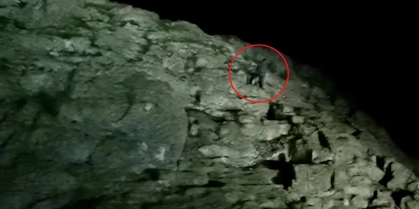 alpinist mort varful lespezi fagaras salvamont intervenite